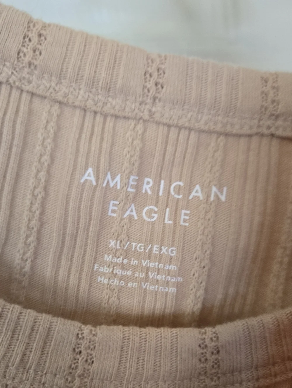 American Eagle Ribbed Crop Tee in Coral Pink (Single) - Picture 3 of 3